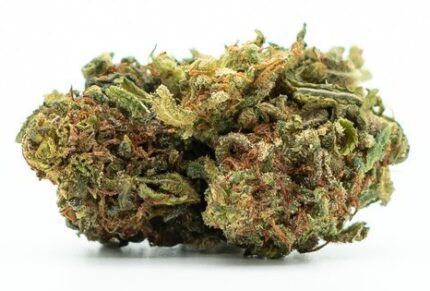 HHC Orange Bud Flower